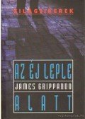 James Grippando - Az éj leple alatt