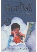 Sachar, Louis - Bradley, az osztály réme