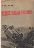 Kucsara Pál - Vezess baleset nélkül!