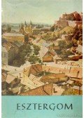 Huba László - Esztergom