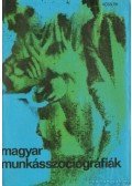 Litvány György - Magyar munkásszociográfiák