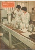 Dala László - Természettudományi Közlöny 1963. teljes évfolyam