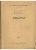 Vida Miklós dr. - Gázellátás