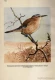 Thumbnail kép