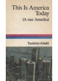 Lengyel Gabriella (főszerk.) - This Is America Today