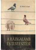 Péterfi István - A házigalamb és tenyésztése