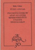 Bódy Gábor - Tüzes angyal / Psychotechnikum azaz Gulliver mindenekelőtti utazása Digitáliában