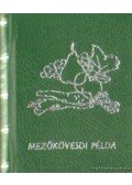 Juhász Péter - Mezőkövesdi példa (mini)