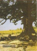 Füzes Endre - Ormánság