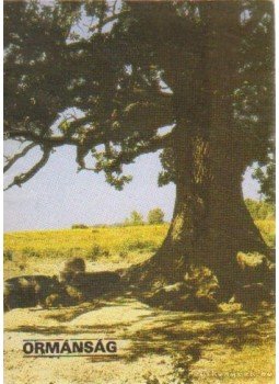 Füzes Endre - Ormánság Füzes Endre - Ormánság, 1987 antikvár könyv