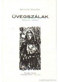 Bodicsi Zsuzsa - Üvegszálak