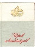 B. Fábri Magda - Képek a barátságról (minikönyv)