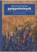 Dr. Bernáth Jenő - Vadon termő és termesztett gyógynövények