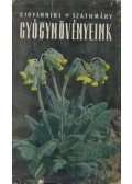 Giovannini Rudolf,Szathmáry Géza - Gyógynövényeink