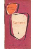 Ginzburg, Natalia - Baktérítő
