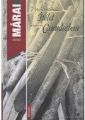 Márai Sándor - Ítélet Canudosban