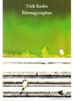 Tóth Endre - Életnagyságban Tóth Endre - Életnagyságban, Budapest 1982 antikvár könyv