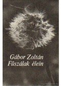 Zoltán Gábor - Fűszálak élein