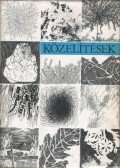 Juhász Béla,Görömbei András,Várkonyi Anikó,Márkus Béla,Kun András - Közelítések