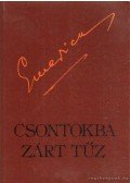 Somogyi Barnabás - Csontokba zárt tűz
