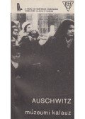 Smolen, Kazimierz - Auschwitz 1940-1945
