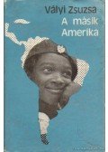 Vályi Zsuzsa - A másik Amerika