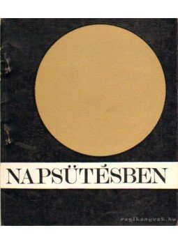Erdős István - Napsütésben Erdős István - Napsütésben, Salgótarján 1969 antikvár könyv