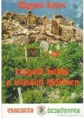 Négyesi Lajos - 46-os szegedi bakák a tolmeini hídfőben