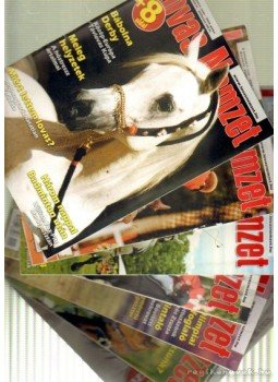 Dr. Pongrácz László (főszerk.) - Lovas Nemzet 2004. X. évfolyam (hiányos) Dr. Pongrácz László (főszerk.) - Lovas Nemzet 2004. X. évfolyam (hiányos), Pécs 2004 antikvár könyv