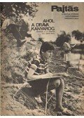 Vasvári Ferenc (főszerk.) - Pajtás 1969. szeptember 37. szám