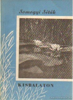 Borsi Darázs József - Kisbalaton Borsi Darázs József - Kisbalaton, 0 antikvár könyv