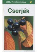 Gunter Steinbach - Cserjék