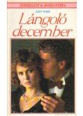 King, Judy - Lángoló december