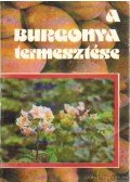 Lőrincz József - A burgonya termesztése