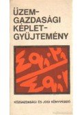Káldor Mihály - Üzemgazdasági képletgyűjtemény