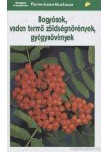 Grau/Jung/Münker,Gunter Steinbach - Bogyósok, vadon termő zöldségnövények, gyógynövények