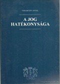 Visegrády Antal - A jog hatékonysága