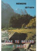 Nemere István - Csak te hallod a dalt!
