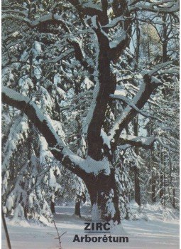 Temesi Ida - Zirc - Arborétum Temesi Ida - Zirc - Arborétum, Budapest 1980 antikvár könyv