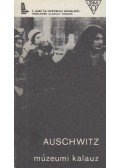 Smolen, Kazimierz - Auschwitz 1940-1945