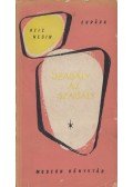 Nesin, Aziz - Szabály az szabály