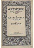Fábián István - A magyar irodalom kis tükre