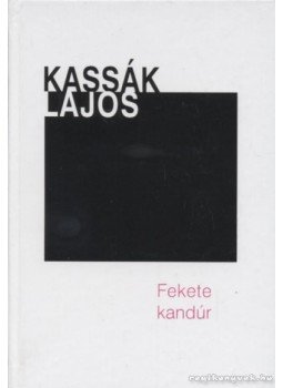Kassák Lajos - Fekete kandúr Kassák Lajos - Fekete kandúr, Budapest 1998 antikvár könyv