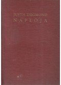 Justh Zsigmond - Justh Zsigmond naplója