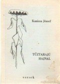 Kanizsa József - Tűzrajú hajnal (dedikált)