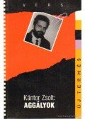 Kántor Zsolt - Aggályok