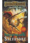 R.A. Salvatore - Csillagtalan éj