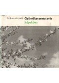 Dr. Jeszenszky Árpád - Gyümölcstermesztés képekben