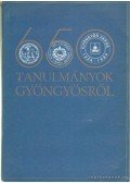 Havassy Péter,Kecskés Péter - Tanulmányok Gyöngyösről