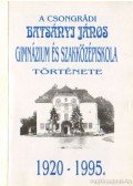 Fábián Györgyné - A csongrádi Batsányi János Gimnázium és Szakközépiskola története 1920-1995
